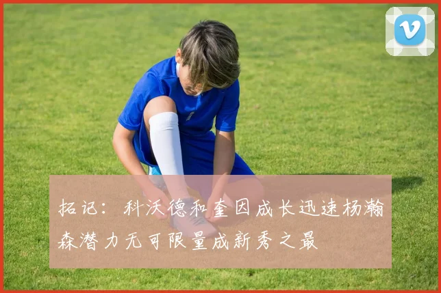 拓记：科沃德和奎因成长迅速杨瀚森潜力无可限量成新秀之最