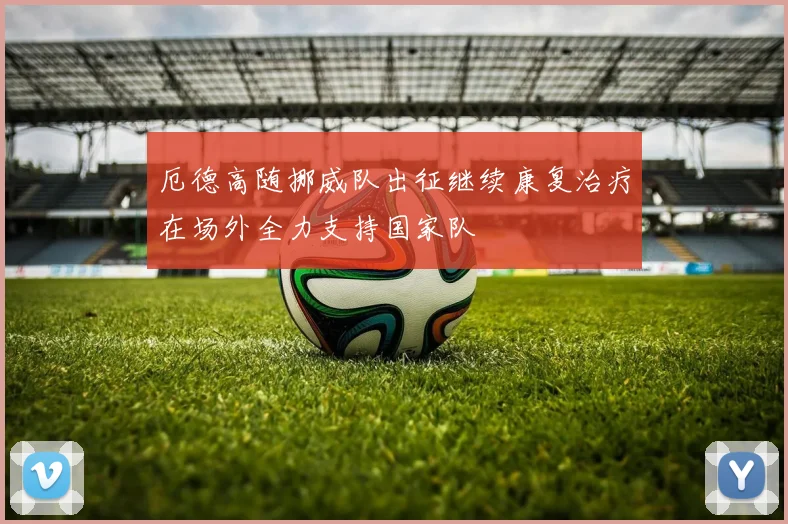 厄德高随挪威队出征继续康复治疗在场外全力支持国家队