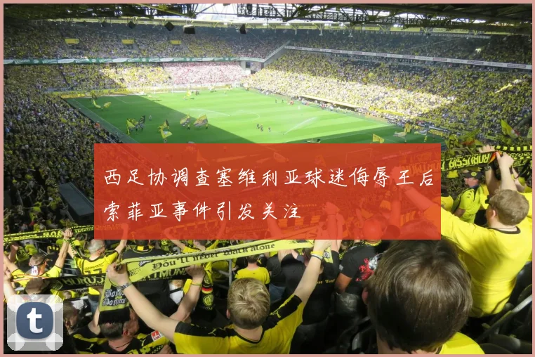西足协调查塞维利亚球迷侮辱王后索菲亚事件引发关注