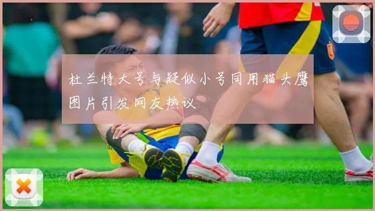 杜兰特大号与疑似小号同用猫头鹰图片引发网友热议