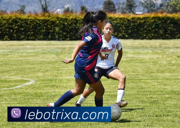 App Interface Preview