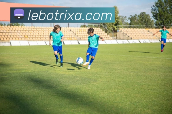 乐博体育APP 封面图